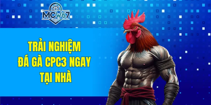Trực Tiếp Đá Gà MCW67 Đang Là Xu Hướng Hot Nhất Hiện Nay 10 Trải nghiệm đá gà CPC3 ngay tại nhà