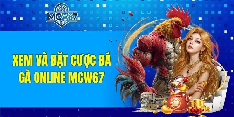 MCW67 45 Xem và đặt cược đá gà online ngay tại sảnh